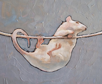 ���������