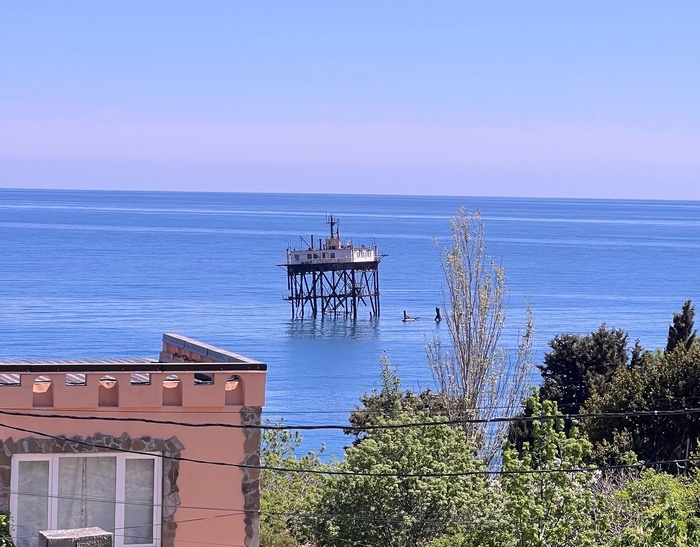 И еще она же, с другого ракурса.