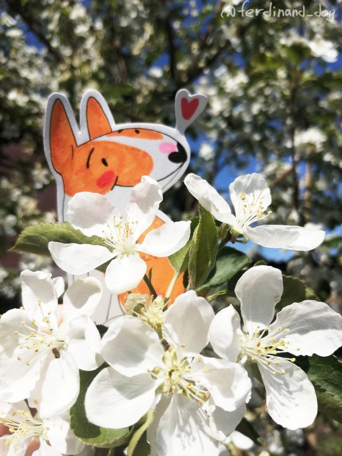 ����� ������� � ����� ���