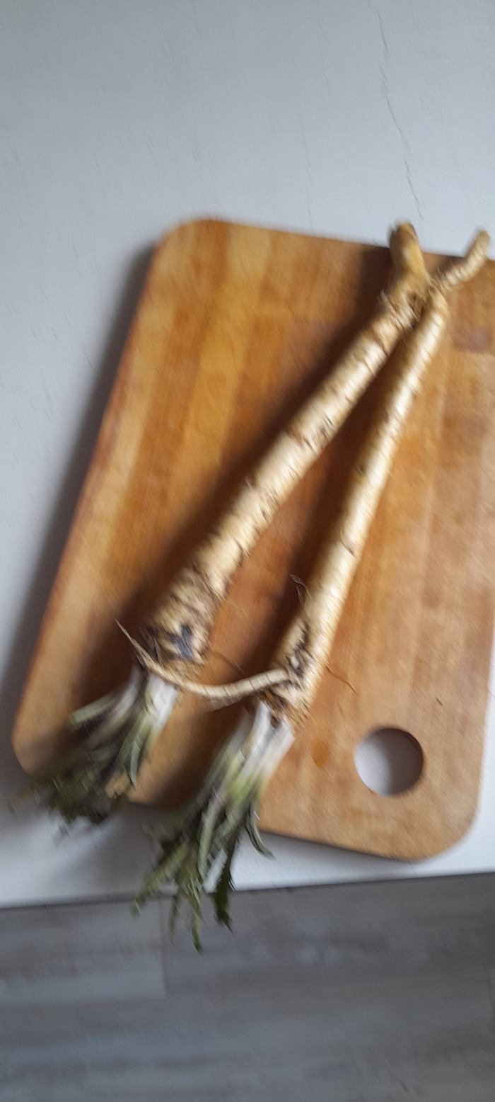  ,  , , , 