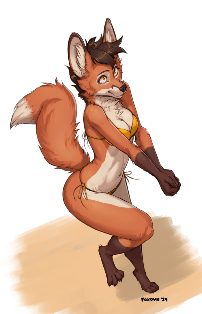  , , , Furry edge, Furry Fox, Foxovh