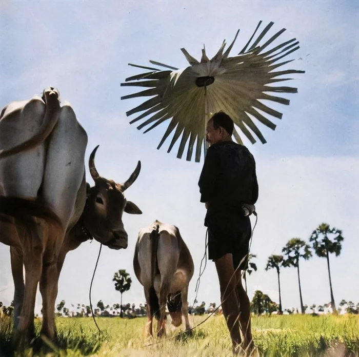 Необычные и интересные снимки из разных стран мира, сделанные в XX веке. 20 раскрашенных фотографий. Часть VII 20 век, Историческое фото, Старое фото, Фотография, Колоризация, Длиннопост