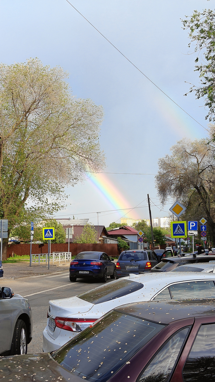 Rainbow , 