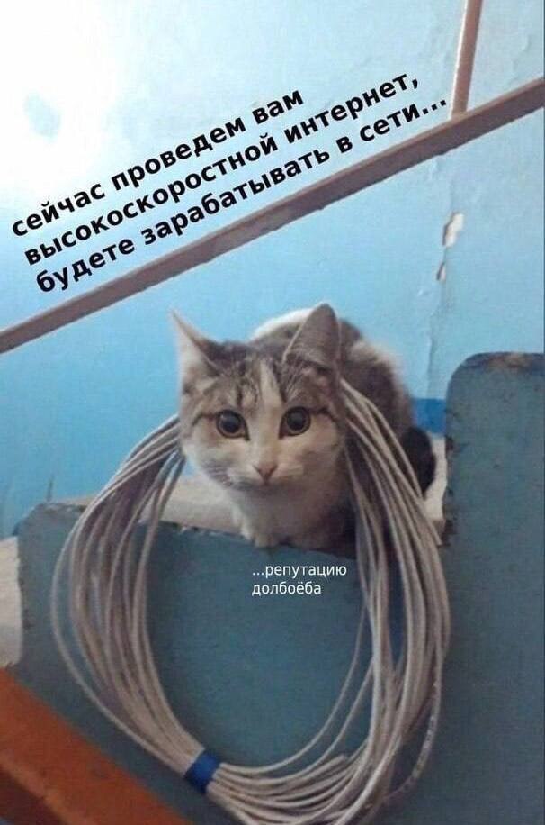 ��� � � �������� ���