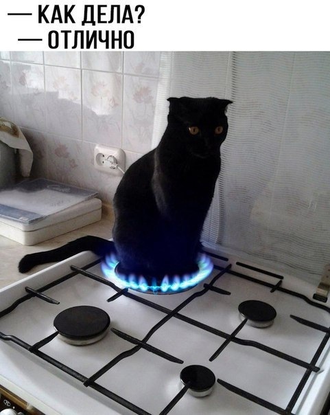   , , ,   ,  
