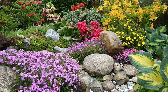 ��� ����������� �� ���������