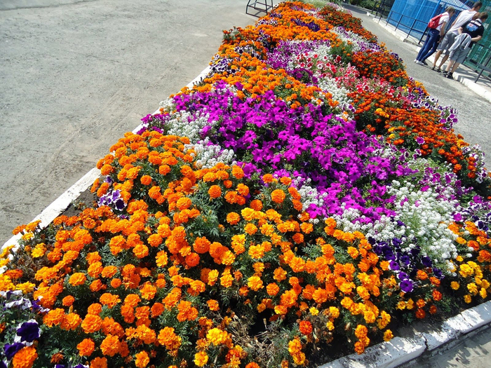 �������� � �������