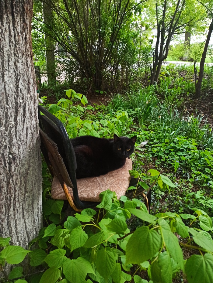   ,     . ,  .     ,    .     ,  .   . 