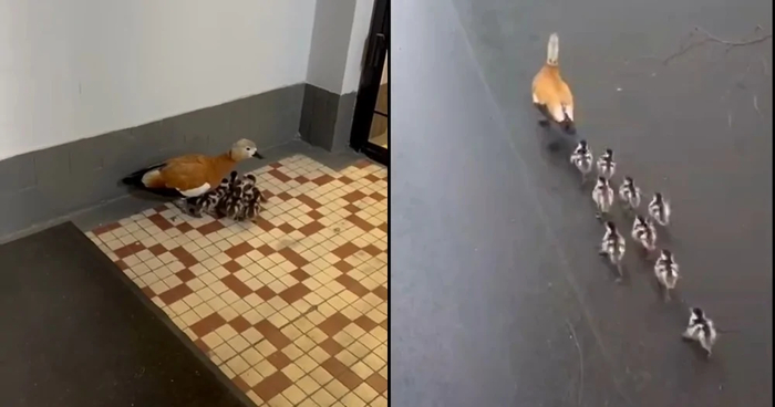 ����������� ����� ���������� � ������� ������������� ������ � ������