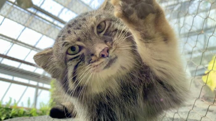 Проснулся? Собирайся в Ашан