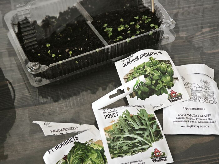 ������, ������!