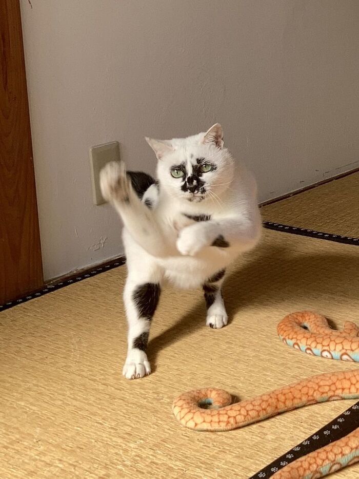   ,     ,  , , , , , , 