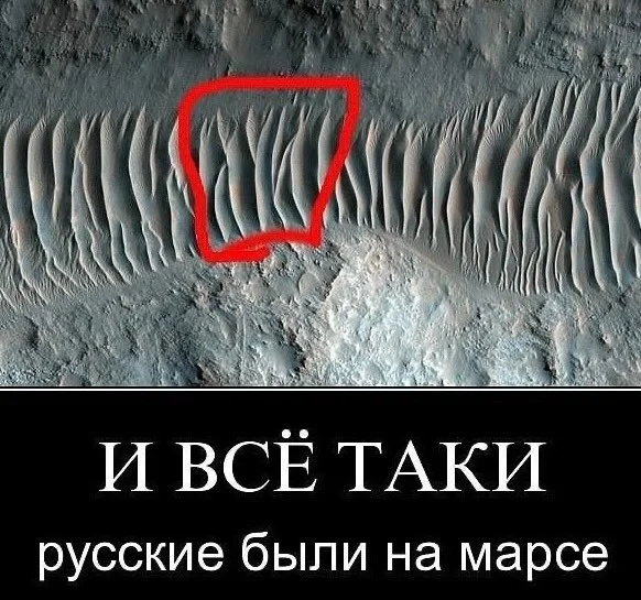 iip55uiw.webp