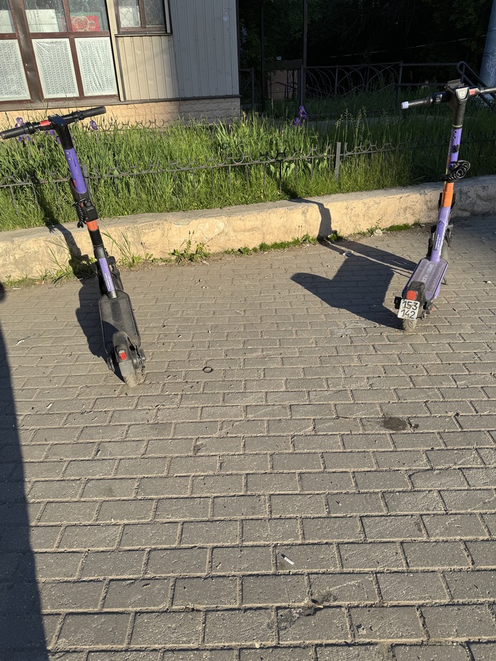 Они же, но сзади