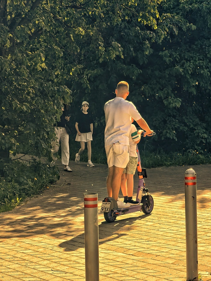 Тёплый летний вечер