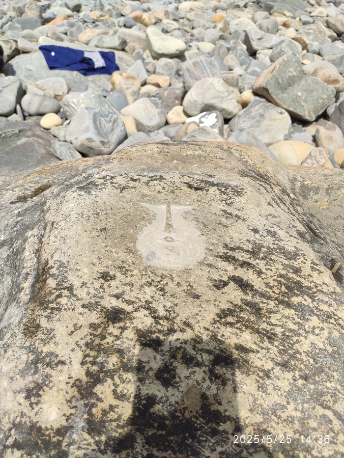 Для сравнения, на фото есть мои трусы.