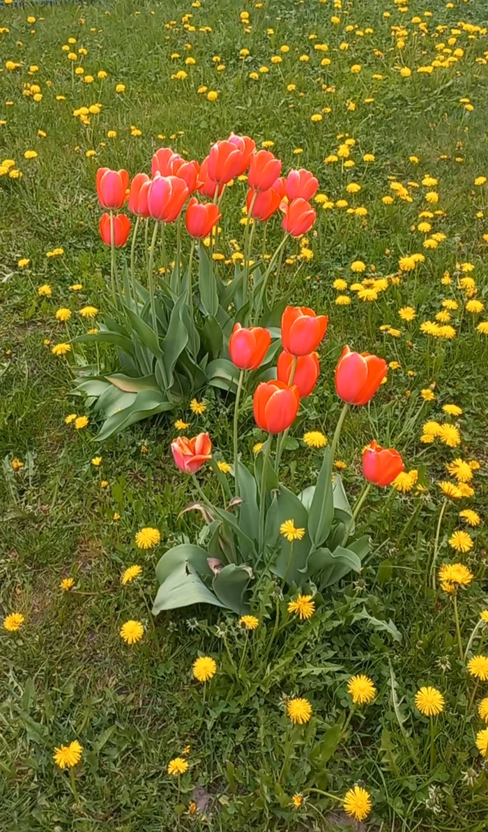 ,   ) , ,  , , , ,  , 