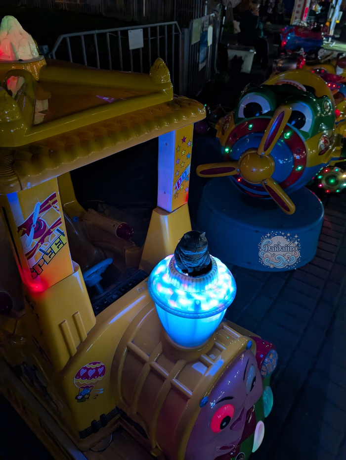 «Весь этот карнавал — просто попытка забыться. Не выйдет.»