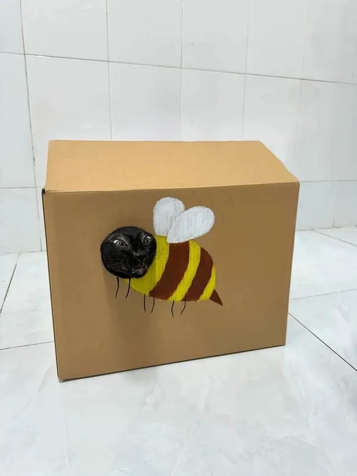  , , , 