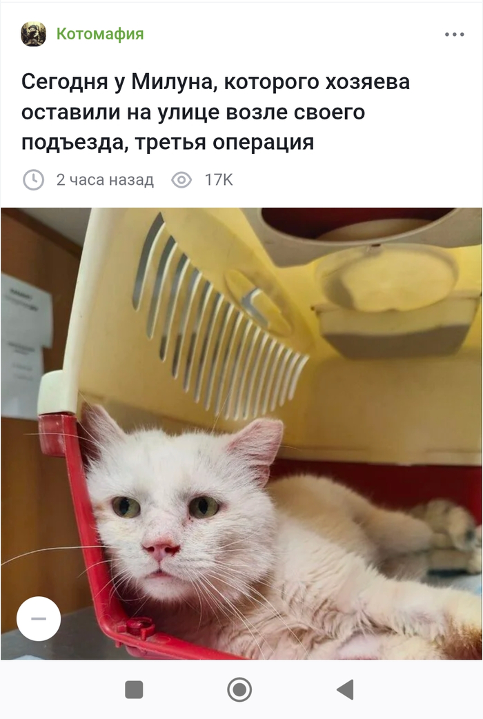   ???   , , , , , 