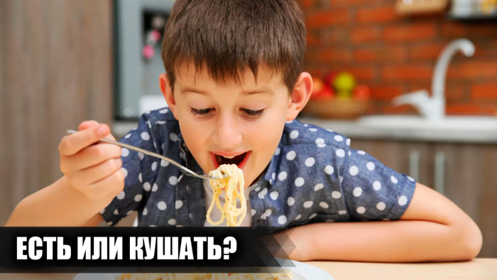 ""  "":           , , , , ,   (), 