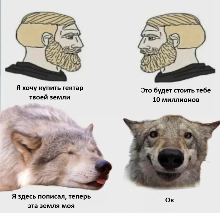     ,   , , , , , Telegram (), 