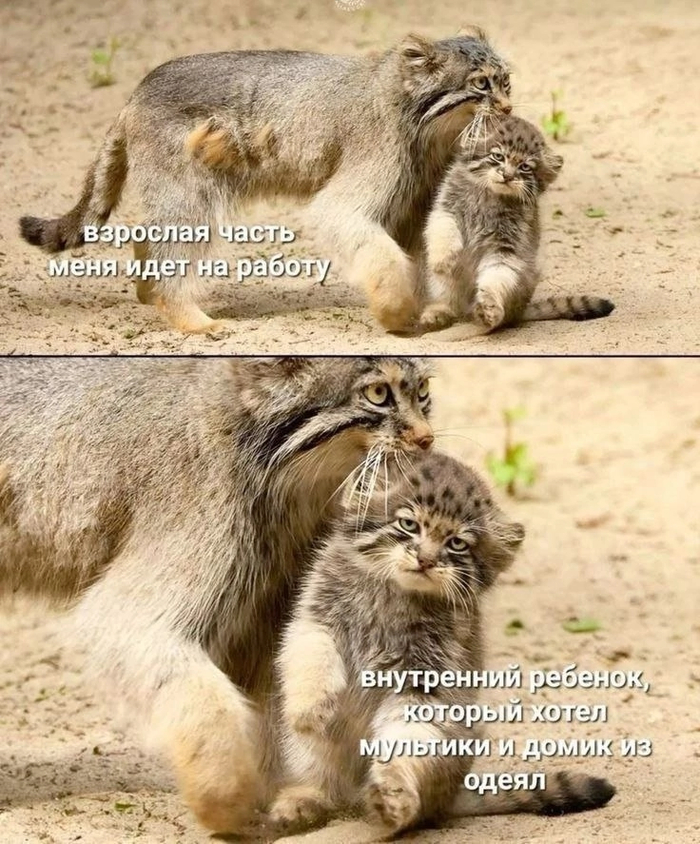   , ,   ,  