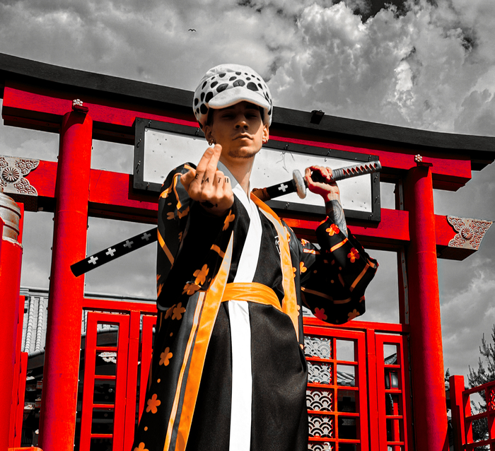 Trafalgar D. Water Law Cosplay , One Piece, Lowcost cosplay, , , , Trafalgar Law
