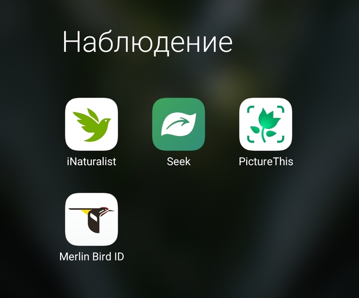 Приложения которые мы используем