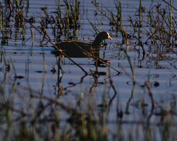А да нет не заметили