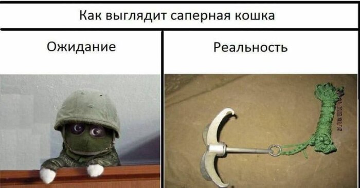 ���������� �������� ���������� � ���������