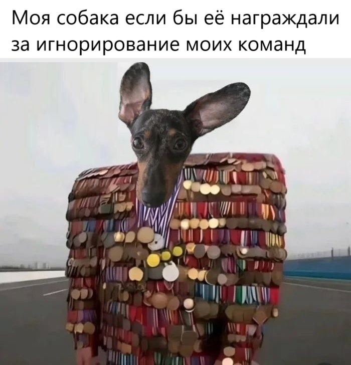   ,   , , , , , , 