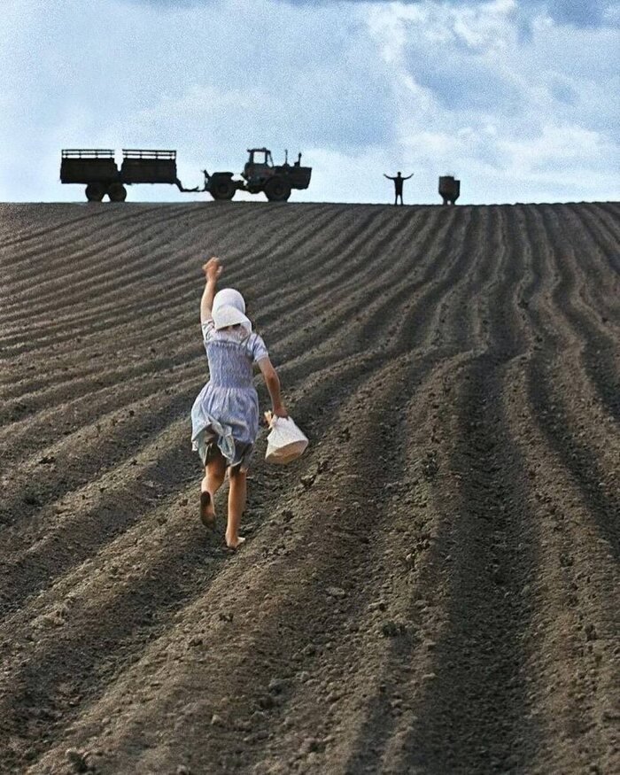 Кадр в поле. СССР, 1960-е. Фотограф: Владимир Лагранж
