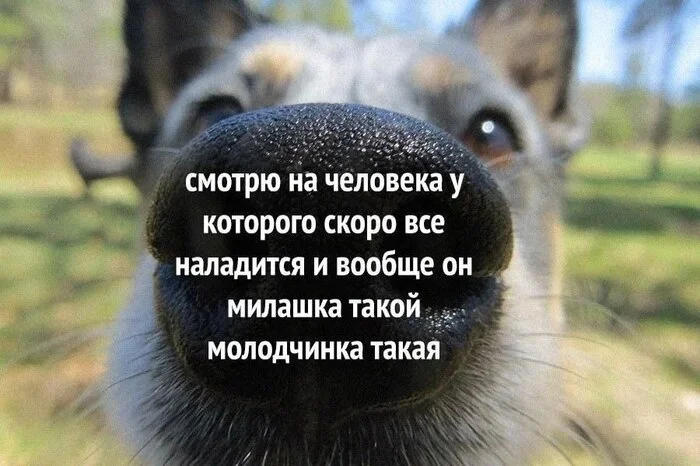 ng755mz3.webp