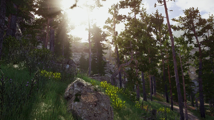 ������ ����� � ��� �����!