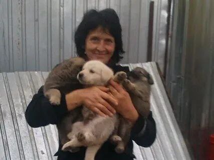 Отловщица с цобачками