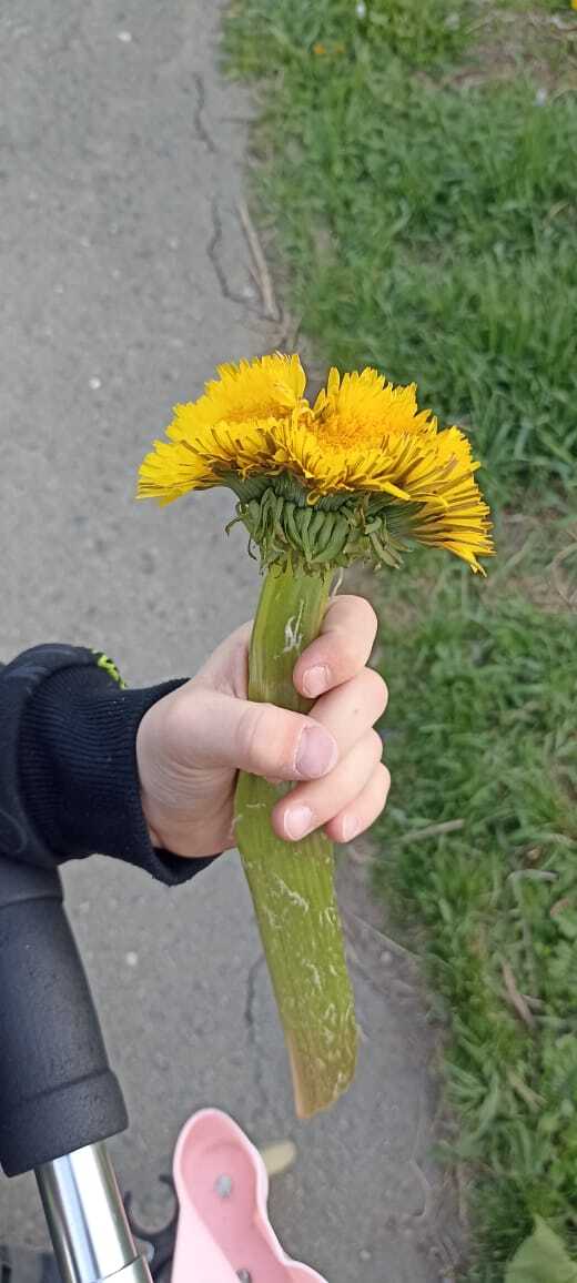  -  , , , 