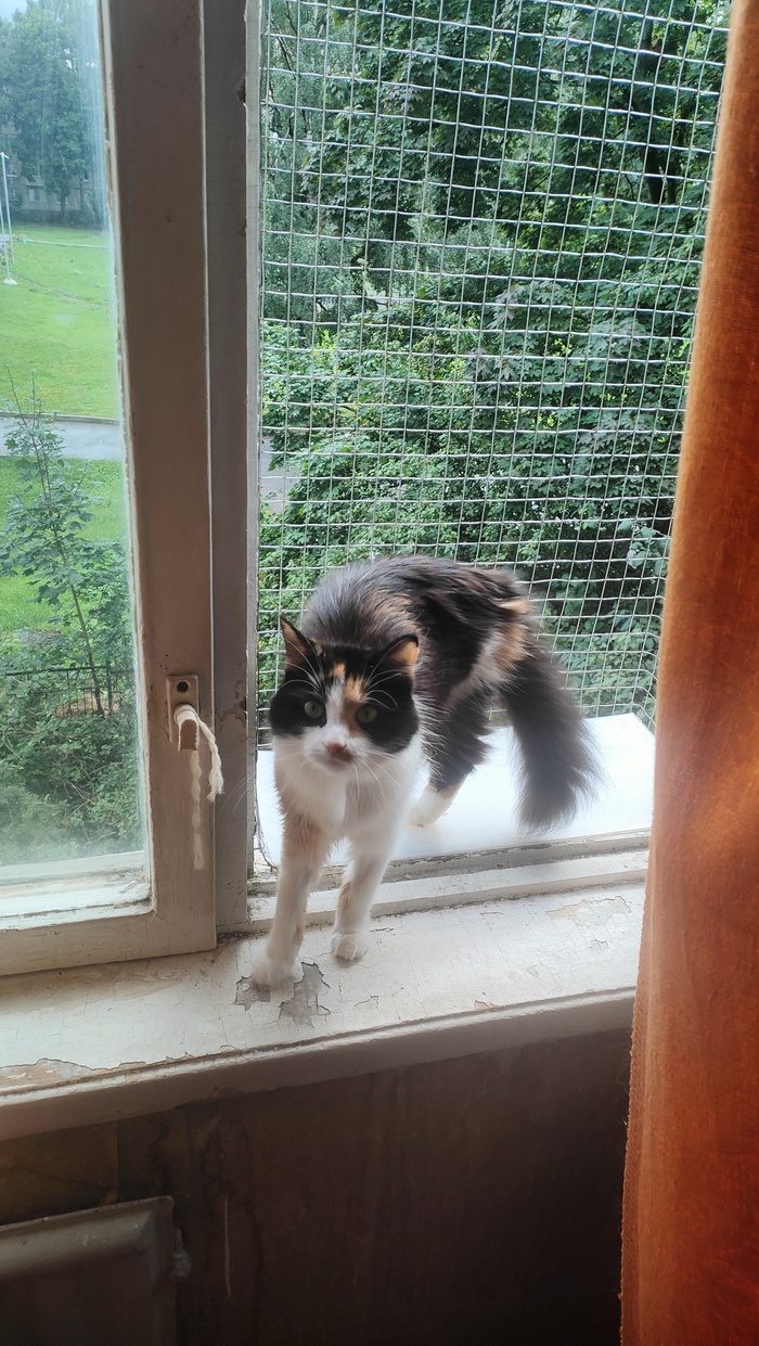 Это фото лучше!