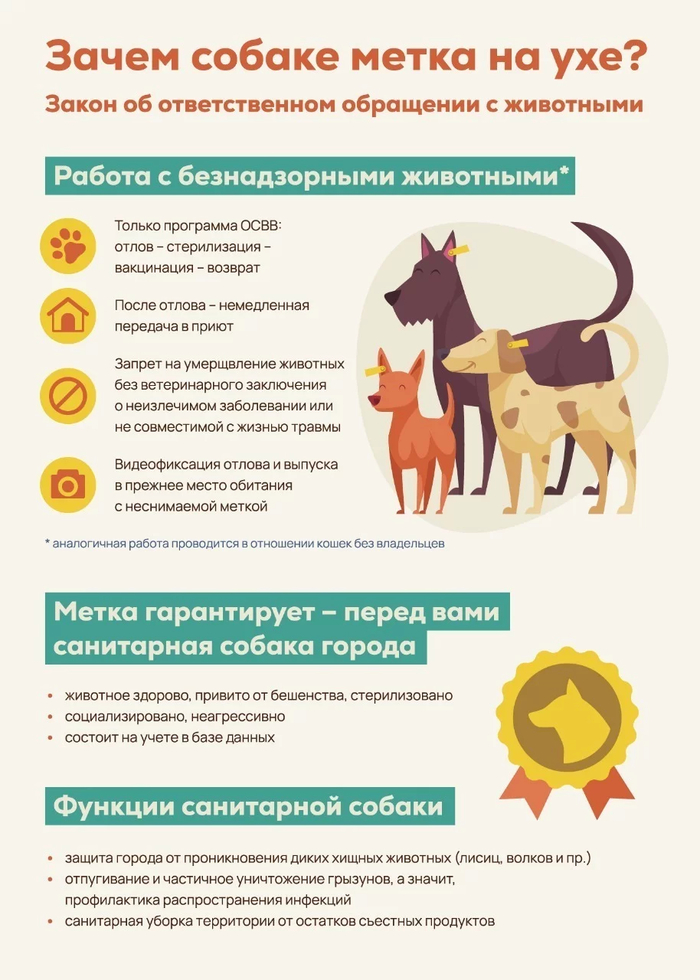 � ����� ��� ����� ��������