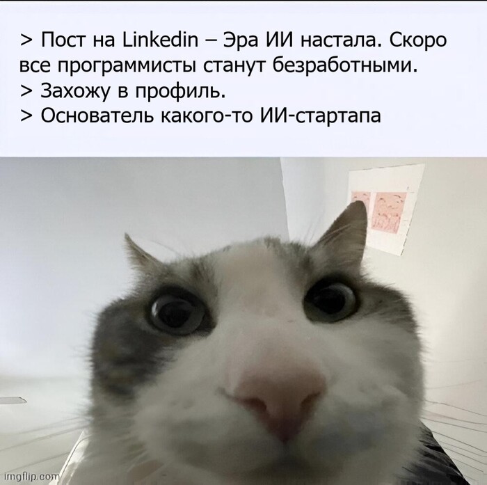 .      NFT.  -. ,     , , ,  , , , Telegram ()
