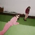 HECCbI.BTPYCIb