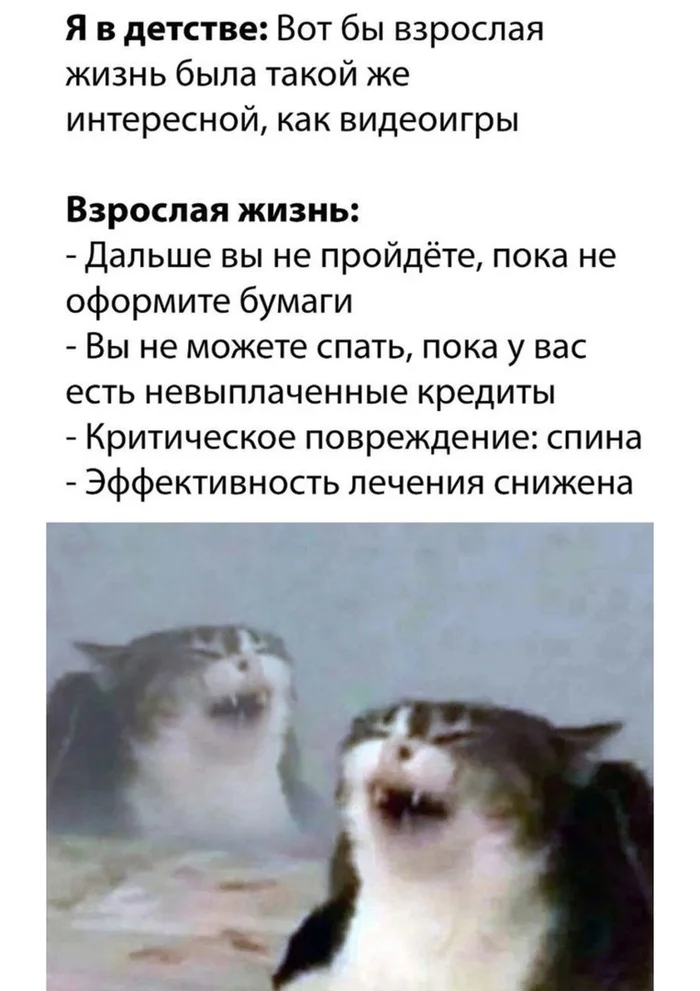 uqh54rq6.webp
