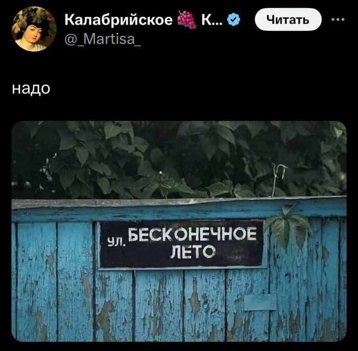    ? ,  , X (Twitter), , , , , 