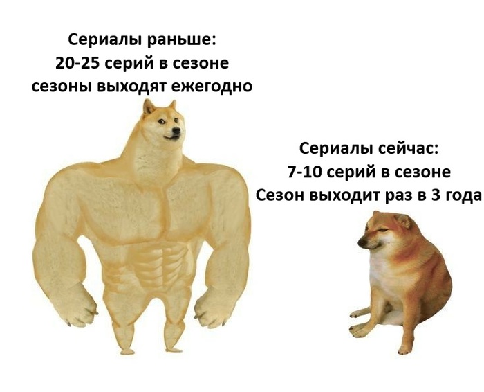  ,   , ,   , , Telegram (), Doge