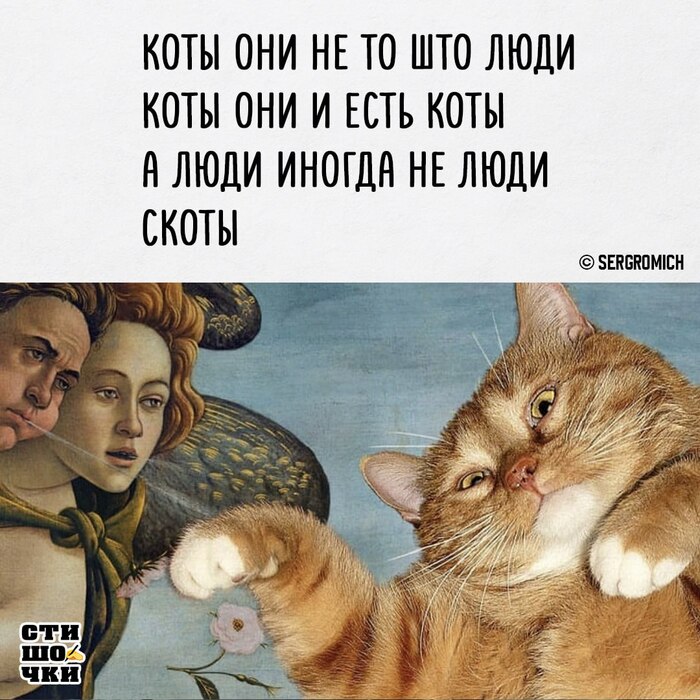    , ,   , , , , -, Telegram ()