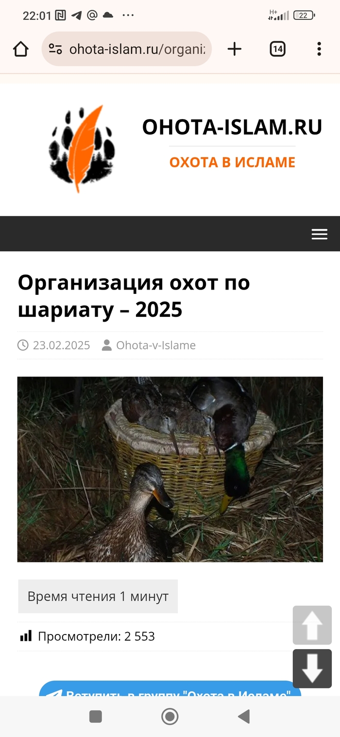      ,  ,  ?, 