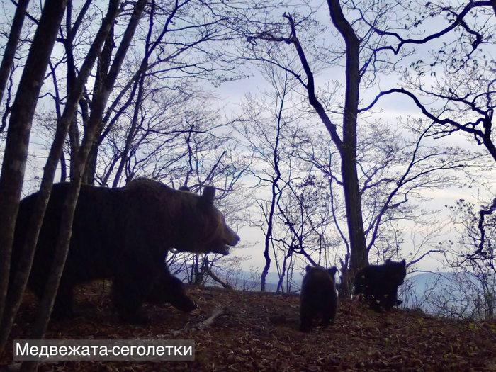 Совсем малыши