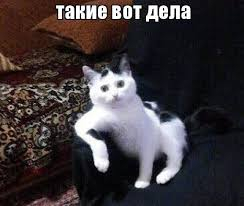        ,  , , , ,   , , Fake News, ,   