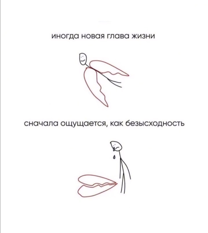    , ,  , , ,  , Telegram ()