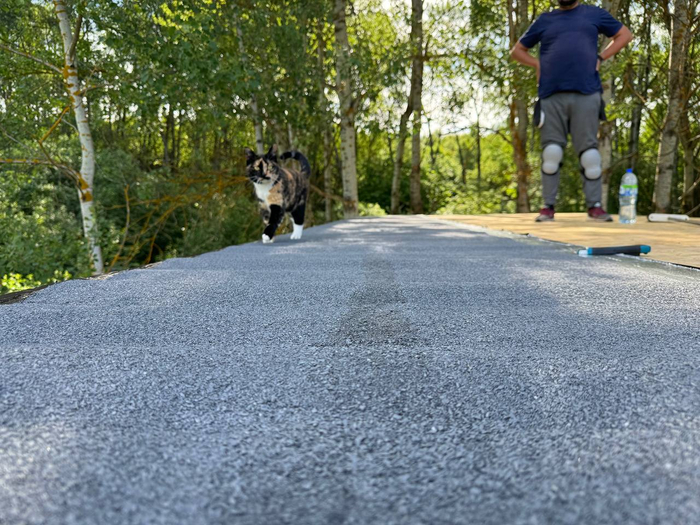 ����� ��� ���������